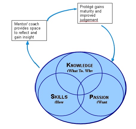 Mentoring/Executive Coaching Process